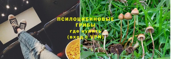 винт Баксан